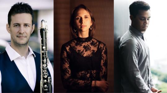 assets/resources/0000/000/00/8/01a_Chamber_Jazz_Trio_1200_667.jpg